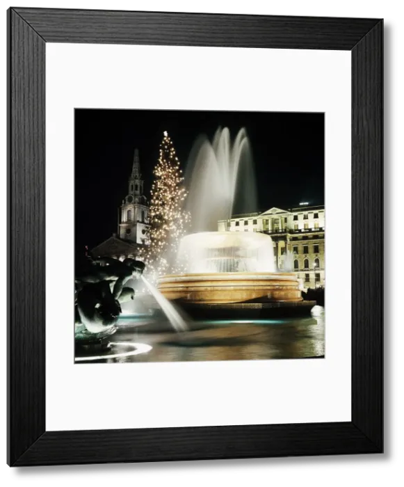 Framed Print : Christmas Tree Lights in Trafalgar Square, London 1971 Framed Print : Christmas Tree Lights in Trafalgar Square, London 1971