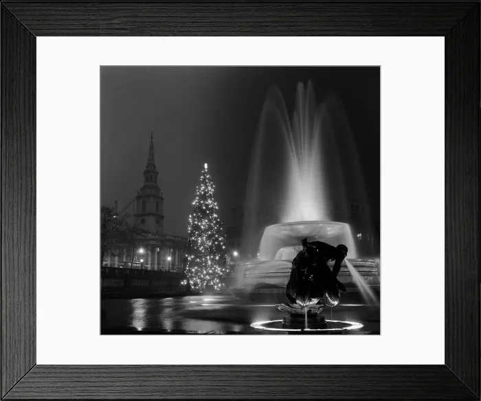 Framed Print : A Christmas Tree with its lights on in Trafalgar Square 1960 Framed Print : A Christmas Tree with its lights on in Trafalgar Square 1960