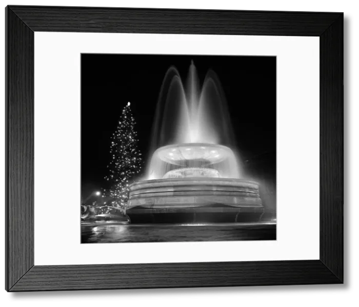Framed Print : The Christmas Tree in Trafalgar Square in 1962 Framed Print : The Christmas Tree in Trafalgar Square in 1962