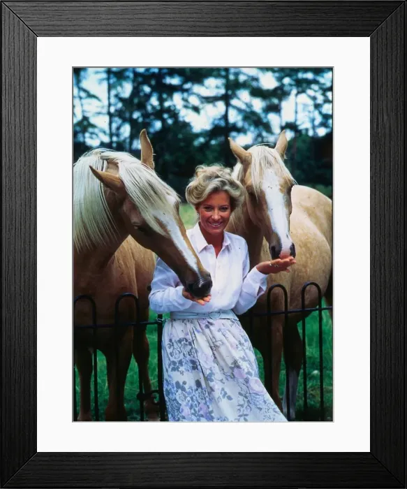 Framed Print : Princess Michael of Kent October 1986 leaning on railings feeding horses Framed Print : Princess Michael of Kent October 1986 leaning on railings feeding horses