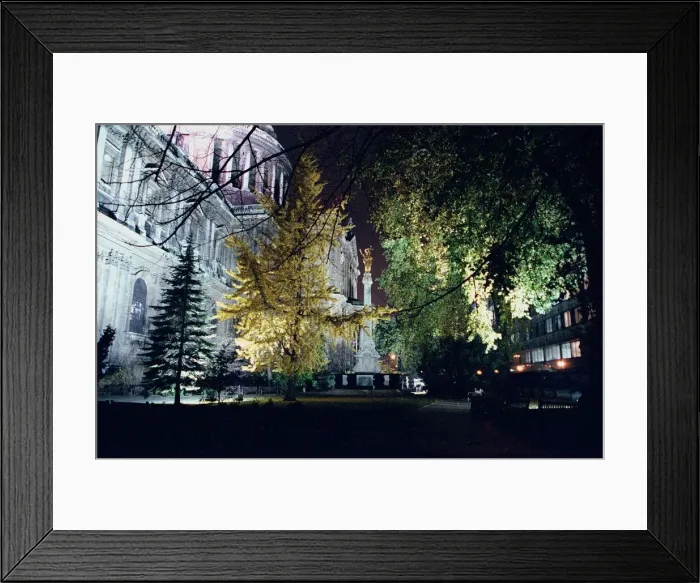 Framed Print : Saint Pauls Cathedral Church Yard London Framed Print : Saint Pauls Cathedral Church Yard London