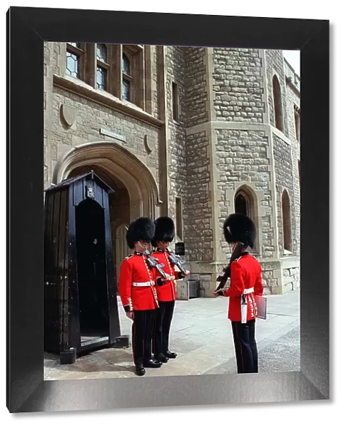 Ghanging the guards at the Tower of London