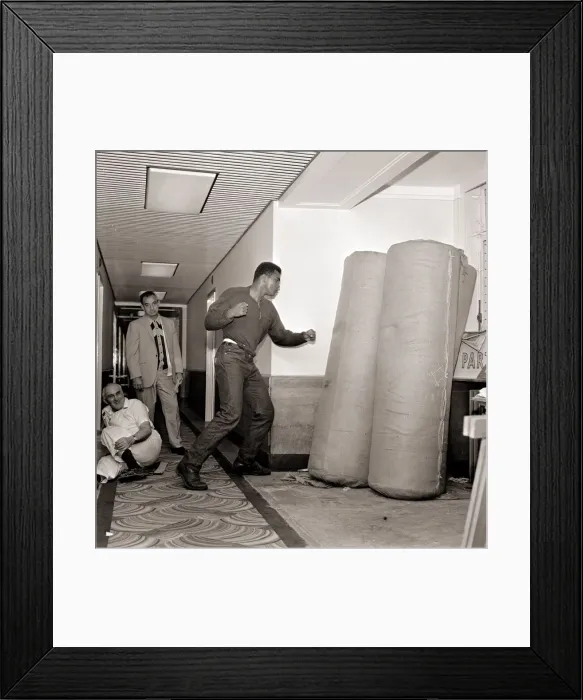 Framed Print : Cassius Clay August 1966 In training punching bags. Boxing 1960s Framed Print : Cassius Clay August 1966 In training punching bags. Boxing 1960s