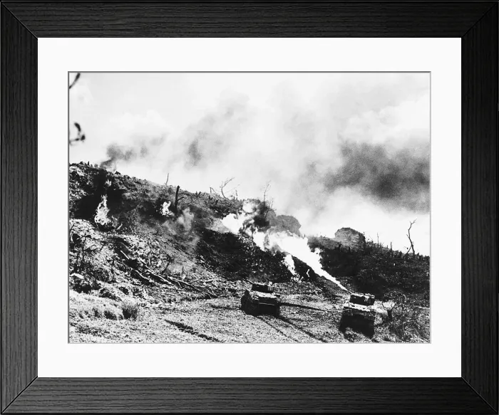 Framed Print : A US Army flame throwing tank in action against Japanese positions at Okinawa. WW2 1945 Framed Print : A US Army flame throwing tank in action against Japanese positions at Okinawa. WW2 1945