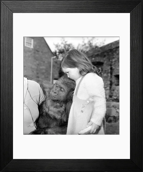 Framed Print : At the ripe old age of 2 years tiny Caroline Smith, daughter of Ken Smith Superintendant