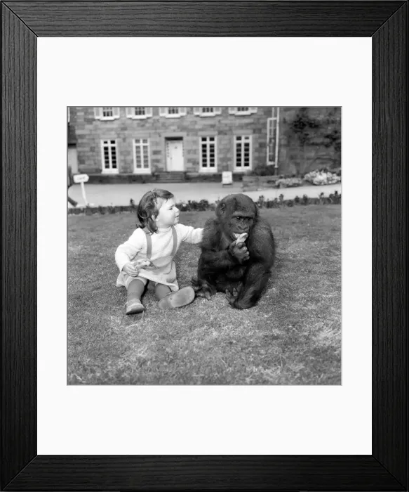 Framed Print : At the ripe old age pf 2 years tiny Caroline Smith, daughter of Ken Smith Superintendant Framed Print : At the ripe old age pf 2 years tiny Caroline Smith, daughter of Ken Smith Superintendant