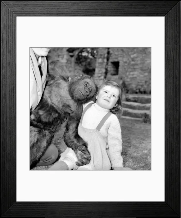 Framed Print : At the ripe old age pf 2Aoe years tiny Caroline Smith, daughter of Ken Smith Superintendant Framed Print : At the ripe old age pf 2Aoe years tiny Caroline Smith, daughter of Ken Smith Superintendant