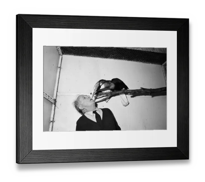 Framed Print : Exmouth Zoo closes down. The zoo was closed due to council orders regarding cramped Framed Print : Exmouth Zoo closes down. The zoo was closed due to council orders regarding cramped