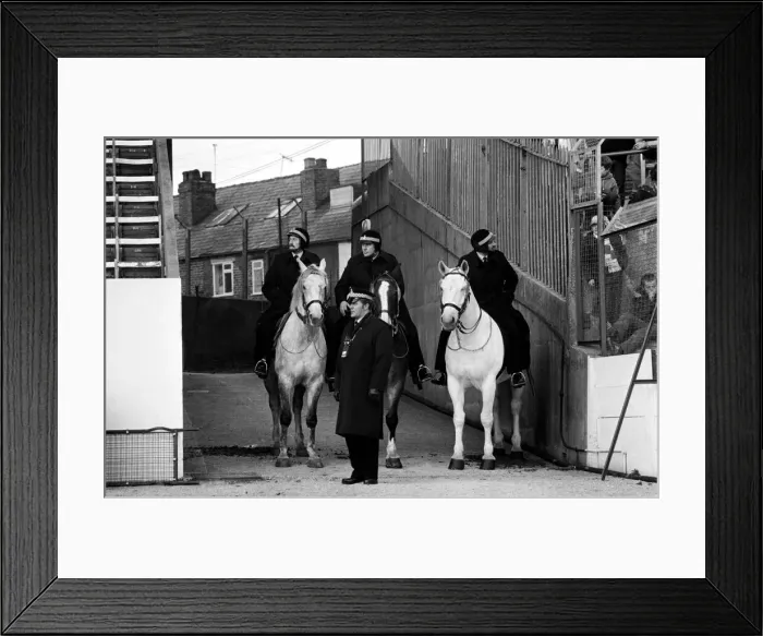 Framed Print : Sheffield Wednesday 3 v. Oldham 0. Division One Football. February 1981 MF01-31-079 Framed Print : Sheffield Wednesday 3 v. Oldham 0. Division One Football. February 1981 MF01-31-079