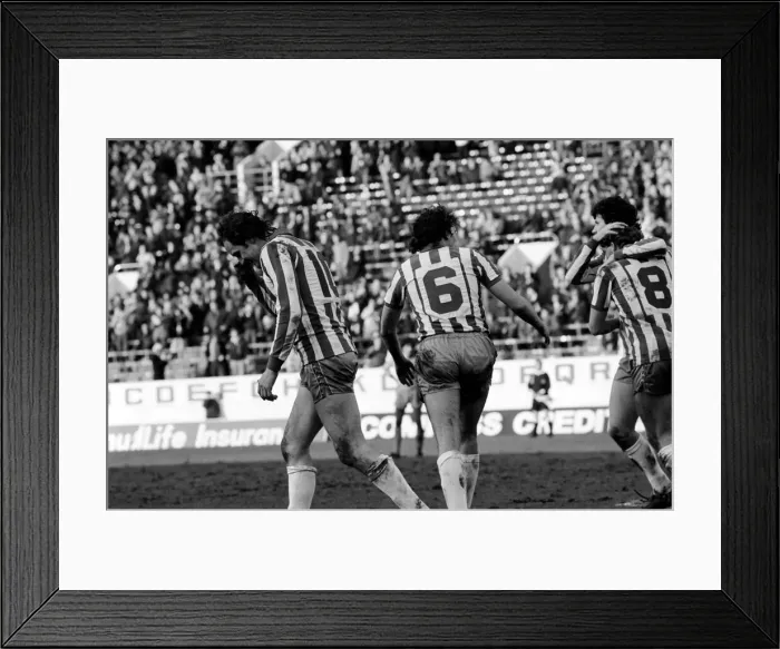 Framed Print : Sheffield Wednesday 3 v. Oldham 0. Division One Football. February 1981 MF01-31-063 Framed Print : Sheffield Wednesday 3 v. Oldham 0. Division One Football. February 1981 MF01-31-063