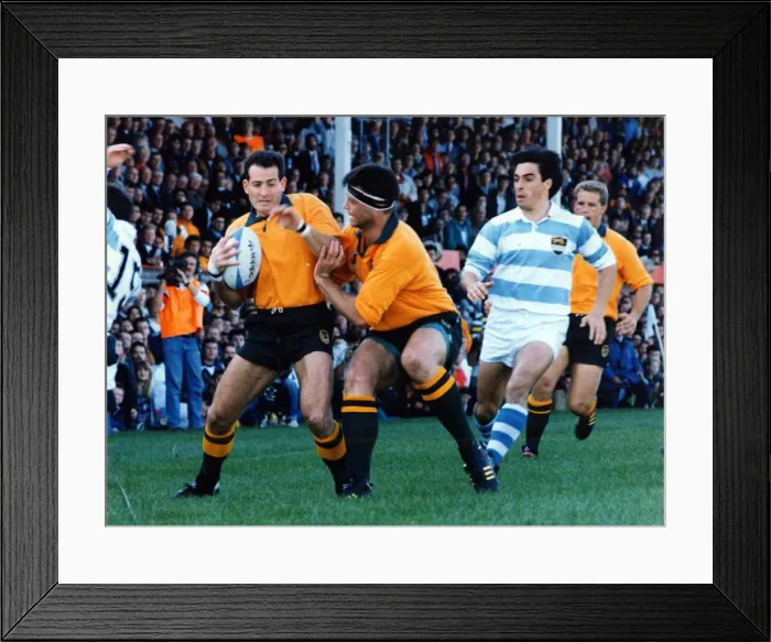 Framed Print : David Campese, Australian Rugby Player in action for his country during the World Cup Framed Print : David Campese, Australian Rugby Player in action for his country during the World Cup
