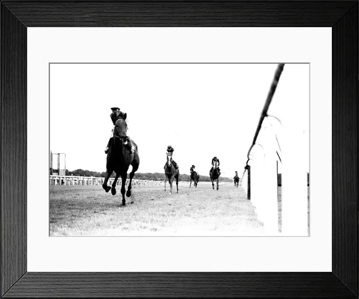 Framed Print : Singletta, with jockey Walter Swinburn virtually a passenger Framed Print : Singletta, with jockey Walter Swinburn virtually a passenger