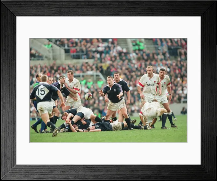 Framed Print : Calcutta Cup Five Nations. England 24 v. Scotland 21 at Twickenham Framed Print : Calcutta Cup Five Nations. England 24 v. Scotland 21 at Twickenham
