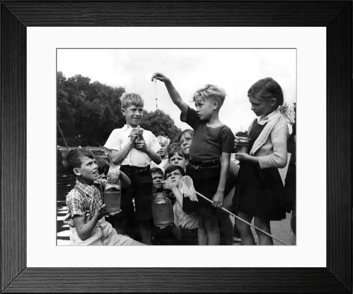 Framed Print : Children fishing on th bank of a river August 1952