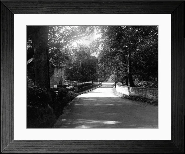 Framed Print : A leafy lane in Stocksfield photographed on 24th September 1938 Framed Print : A leafy lane in Stocksfield photographed on 24th September 1938