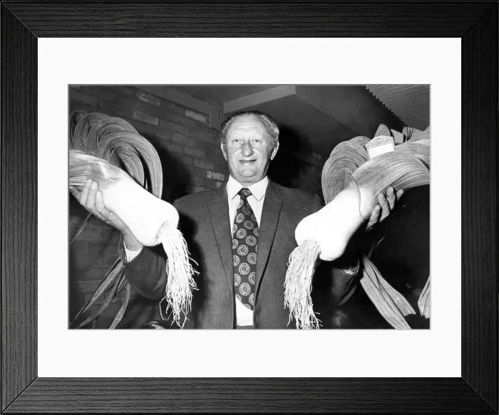 Framed Print : These gigantic leeks were two of the exhibits judge Fred Palmer had to examine Framed Print : These gigantic leeks were two of the exhibits judge Fred Palmer had to examine