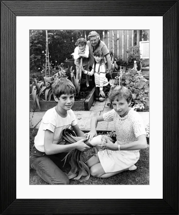 Framed Print : Craig Smith and Gail Smith measure the size of a leek, watched by Joanne Kindley Framed Print : Craig Smith and Gail Smith measure the size of a leek, watched by Joanne Kindley