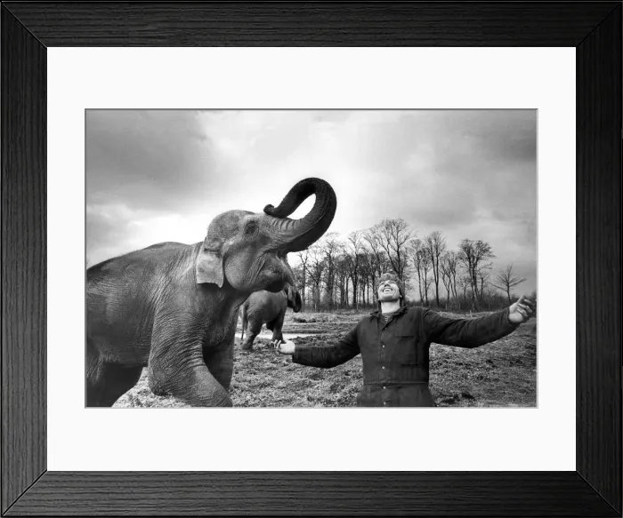 Framed Print : Head keeper Bob Streetfield with Duchess and Millie at Lambton Pleasure Park in December Framed Print : Head keeper Bob Streetfield with Duchess and Millie at Lambton Pleasure Park in December
