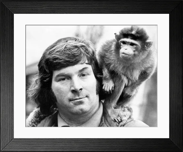 Framed Print : Head warden John hay with Debbie, the Torque monkey at Lambton Pleasure Park in February