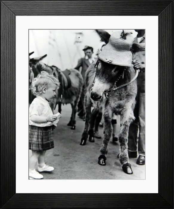Framed Print : 18 month old Evelyn McAdam with Molly the donkey on the South Bank, London Framed Print : 18 month old Evelyn McAdam with Molly the donkey on the South Bank, London