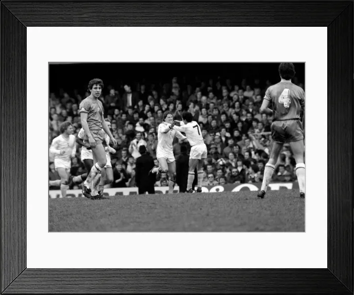 Framed Print : F. A Cup Football. Chelsea 2 v. Tottenham Hotspurs 3. F. A. Cup March 1982 LF08-16-217