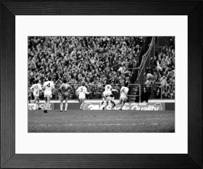 Framed Print : F. A Cup Football. Chelsea 2 v. Tottenham Hotspurs 3. F. A. Cup March 1982 LF08-16-087