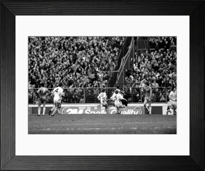 Framed Print : F. A Cup Football. Chelsea 2 v. Tottenham Hotspurs 3. F. A. Cup March 1982 LF08-16-086 Framed Print : F. A Cup Football. Chelsea 2 v. Tottenham Hotspurs 3. F. A. Cup March 1982 LF08-16-086