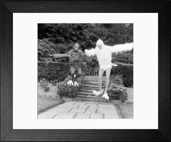 Framed Print : Bee Gee brothers Barry & Maurice Gibb dress up as birds for a scene in their upcoming tv
