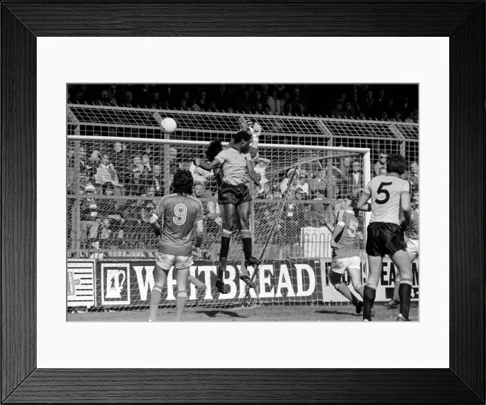 Framed Print : English League Division Two match at The Valley. Charlton Athletic 1 v Watford 1 Framed Print : English League Division Two match at The Valley. Charlton Athletic 1 v Watford 1