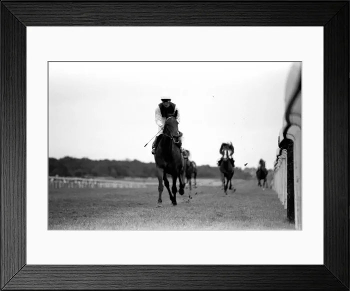 Framed Print : Singletta, with jockey Walter Swinburn virtually a passenger Framed Print : Singletta, with jockey Walter Swinburn virtually a passenger