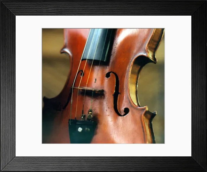Framed Print : The strings and body of a violin Framed Print : The strings and body of a violin