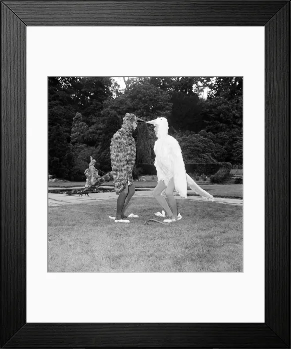 Framed Print : Bee Gee brothers Barry & Maurice Gibb dress up as birds for a scene in their upcoming tv Framed Print : Bee Gee brothers Barry & Maurice Gibb dress up as birds for a scene in their upcoming tv
