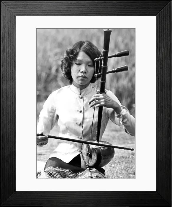 Framed Print : Miss Karnajana Waramontri from the Thai classical music goup of Srinkharin University of Framed Print : Miss Karnajana Waramontri from the Thai classical music goup of Srinkharin University of