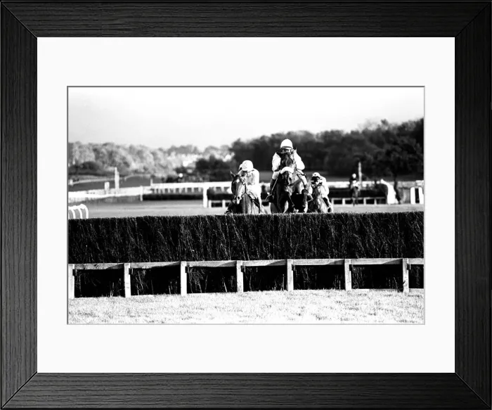Framed Print : Over the last hurdle safely Narvik (right) is pushed out by Denis Atkins to shrug off