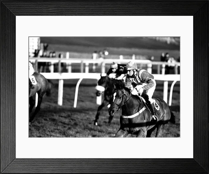 Framed Print : Jockey Geoff Harker rode Green Archer in the Comedy Of Errors Novice s Framed Print : Jockey Geoff Harker rode Green Archer in the Comedy Of Errors Novice s