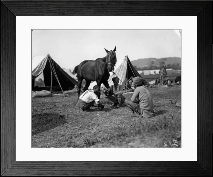 Framed Print : Blacksmith of the 3rd Lahore Indian Division seen here inspecting the companies horses Framed Print : Blacksmith of the 3rd Lahore Indian Division seen here inspecting the companies horses