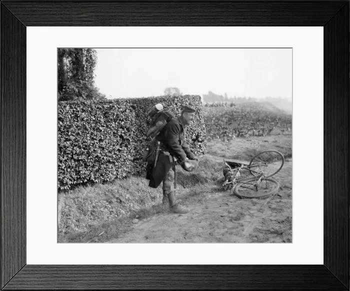 Framed Print : A Belgian soldier captures a rabbit for the pot. September 1914 Framed Print : A Belgian soldier captures a rabbit for the pot. September 1914