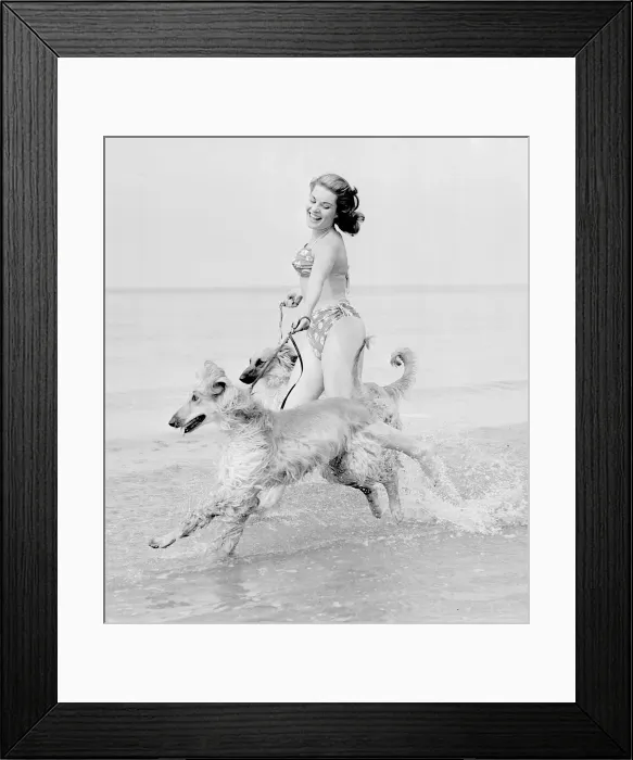Framed Print : Model Belinda Lee seen here with here Afghan hounds on the beach at Cliftonville, Kent Framed Print : Model Belinda Lee seen here with here Afghan hounds on the beach at Cliftonville, Kent