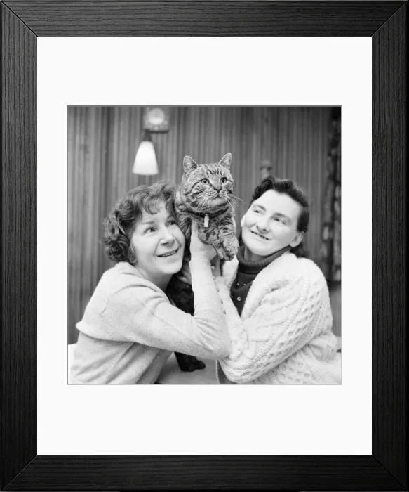 Framed Print : Jasper, the cat with two homes, seen here with Mrs. Whittaker (left) and Mrs Framed Print : Jasper, the cat with two homes, seen here with Mrs. Whittaker (left) and Mrs