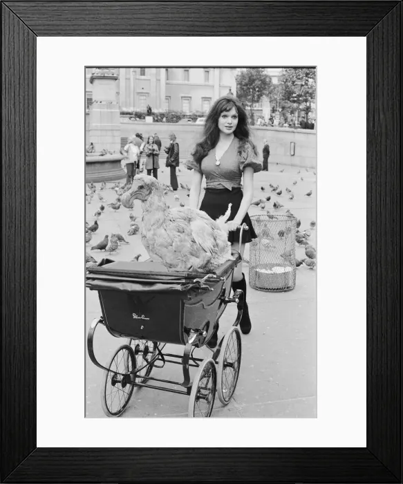 Framed Print : Actress and former model Madeline Smith was forcibly moved on by the law in company with Framed Print : Actress and former model Madeline Smith was forcibly moved on by the law in company with