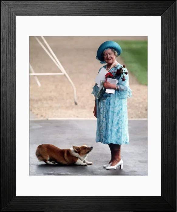 Framed Print : Queen Mother with a corgi, October 1996 Framed Print : Queen Mother with a corgi, October 1996