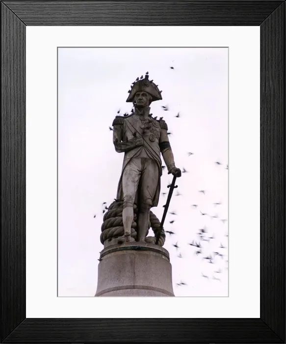 Framed Print : Trafalgar Square - Nelsons Column Britain Places London Framed Print : Trafalgar Square - Nelsons Column Britain Places London