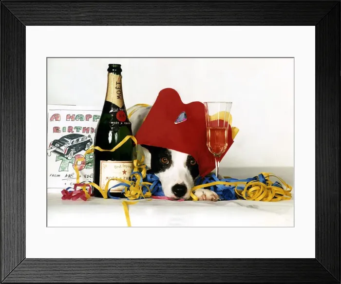 Framed Print : Animals Dogs Toby & 5000 Birthday circa 1990 Framed Print : Animals Dogs Toby & 5000 Birthday circa 1990