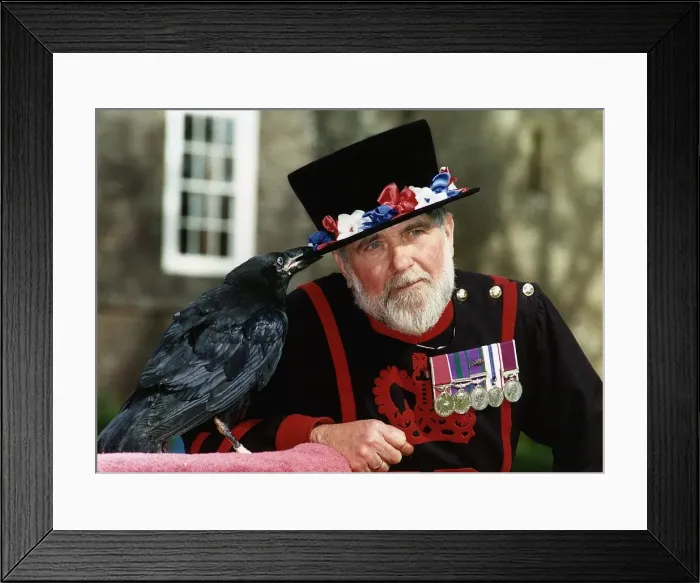 Framed Print : Britain Places Tower of London Beefeaters Yeomans Framed Print : Britain Places Tower of London Beefeaters Yeomans