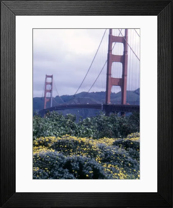 Framed Print : San Francisco Golden Gate Bridge Framed Print : San Francisco Golden Gate Bridge