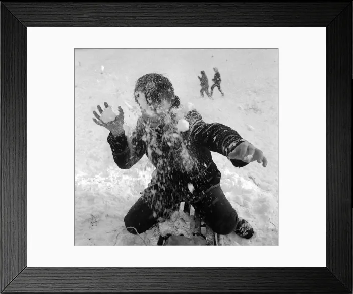 Framed Print : Children playing in the snow on Hampstead Heath. A small boy get hit in the face with a Framed Print : Children playing in the snow on Hampstead Heath. A small boy get hit in the face with a