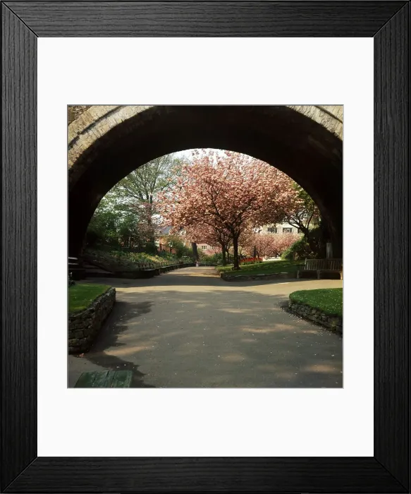 Framed Print : Norwich East Anglia England - 1972 Castle Gardens 1970s Framed Print : Norwich East Anglia England - 1972 Castle Gardens 1970s