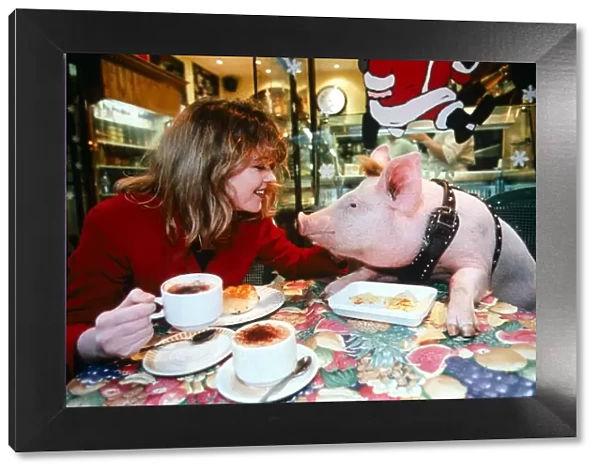 Daily Mirror takes their version of new film Babe star to the streets of London pig