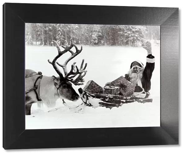 Santa Claus on his sleigh in the snow - December 1981 with his Reindeer looking