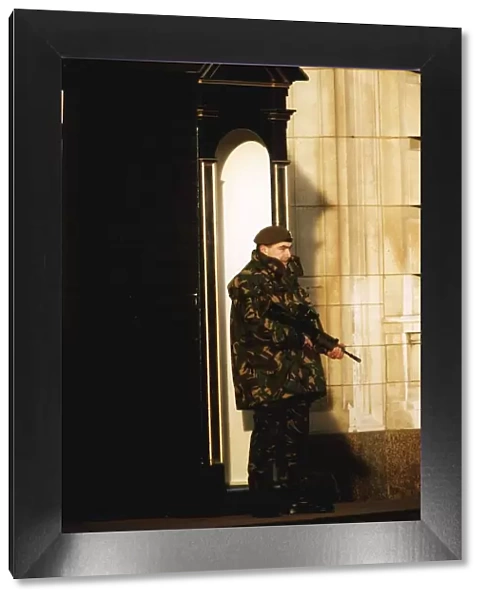 Army Soldier On Duty Outside Buckingham Palace